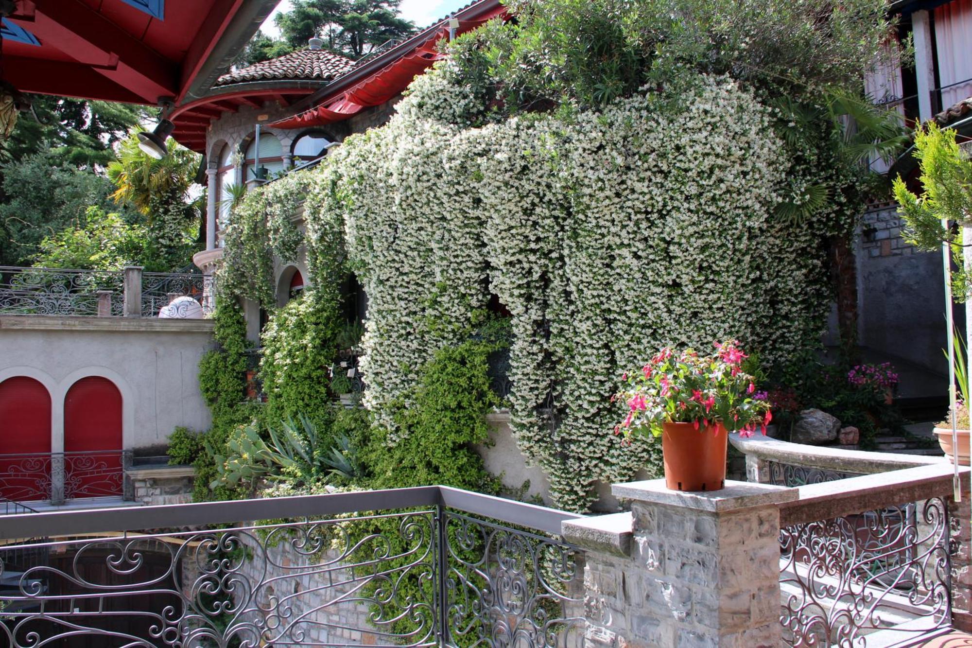 Barony Le Pergole Holiday Apartments Lugano Exteriör bild