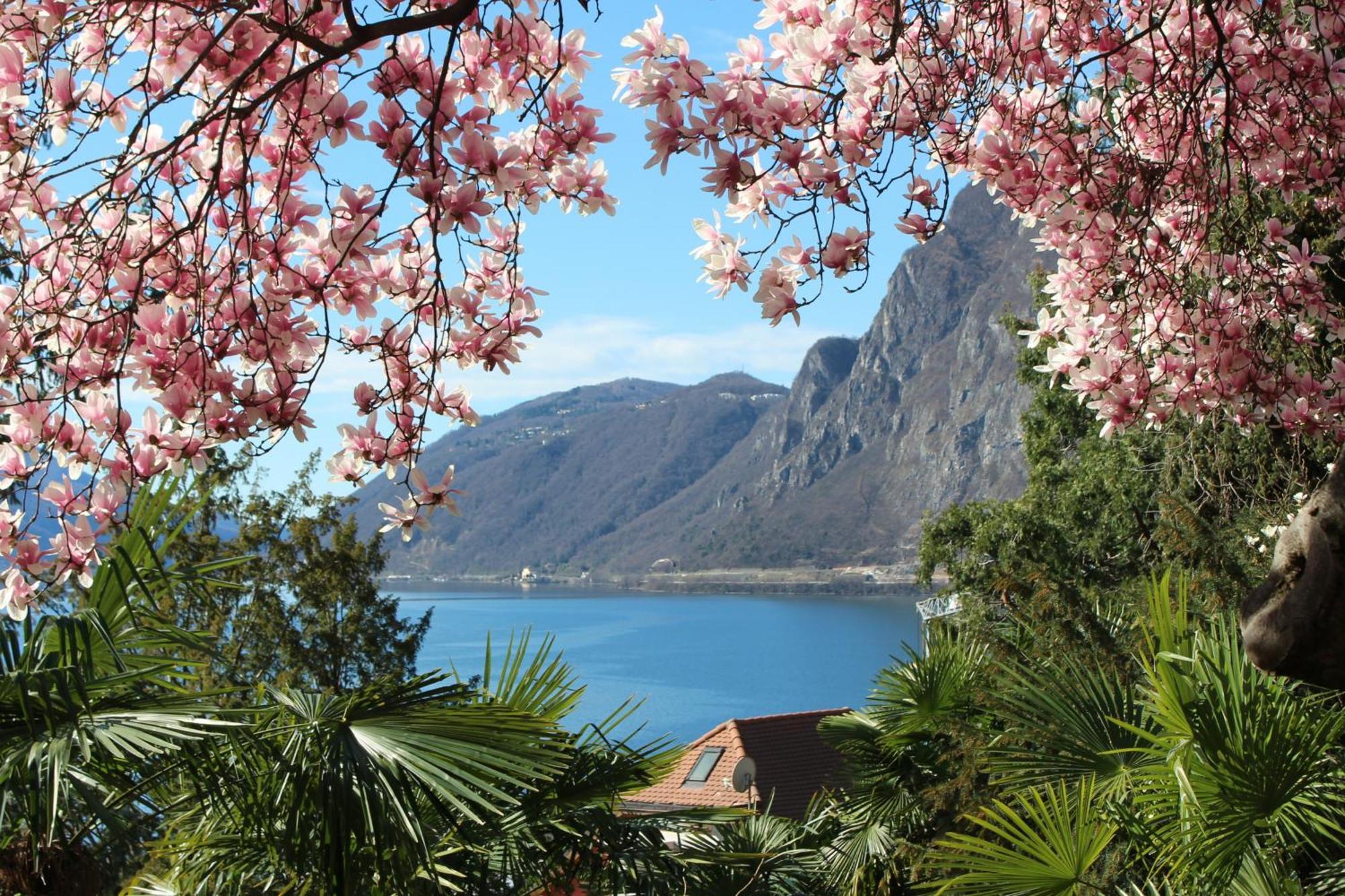 Barony Le Pergole Holiday Apartments Lugano Exteriör bild