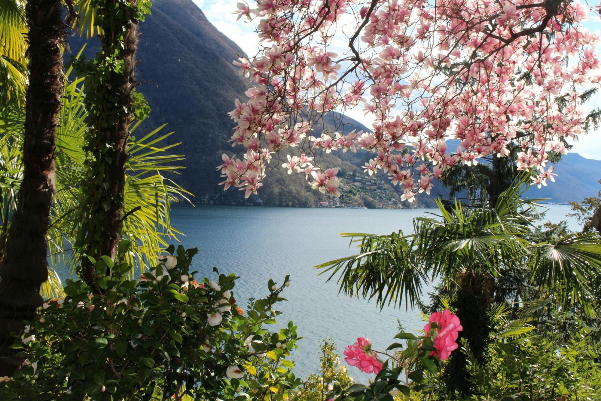 Barony Le Pergole Holiday Apartments Lugano Exteriör bild